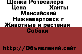 Щенки Ротвейлера . › Цена ­ 7 500 - Ханты-Мансийский, Нижневартовск г. Животные и растения » Собаки   